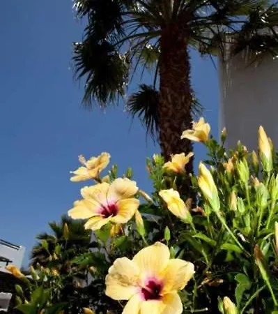 Appartement Playa Blanca Sleeps 8 Pool Wifi