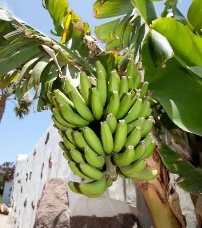 Playa Blanca Sleeps 8 Pool Wifi